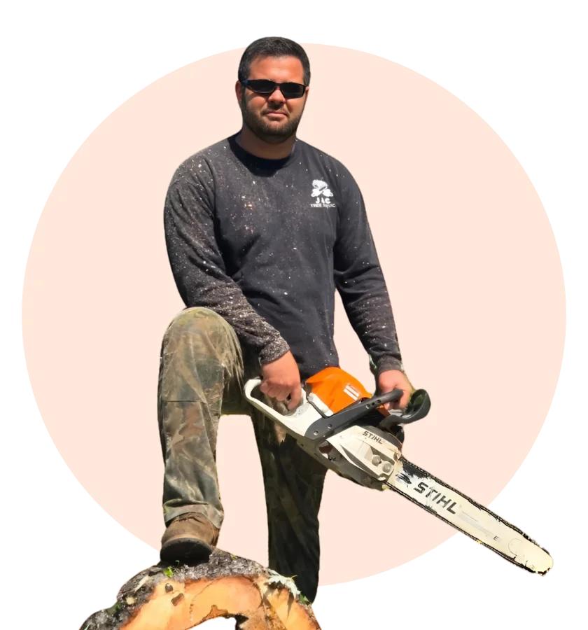 J&C Tree Services crew member standing on a freshly cut stump with a chainsaw