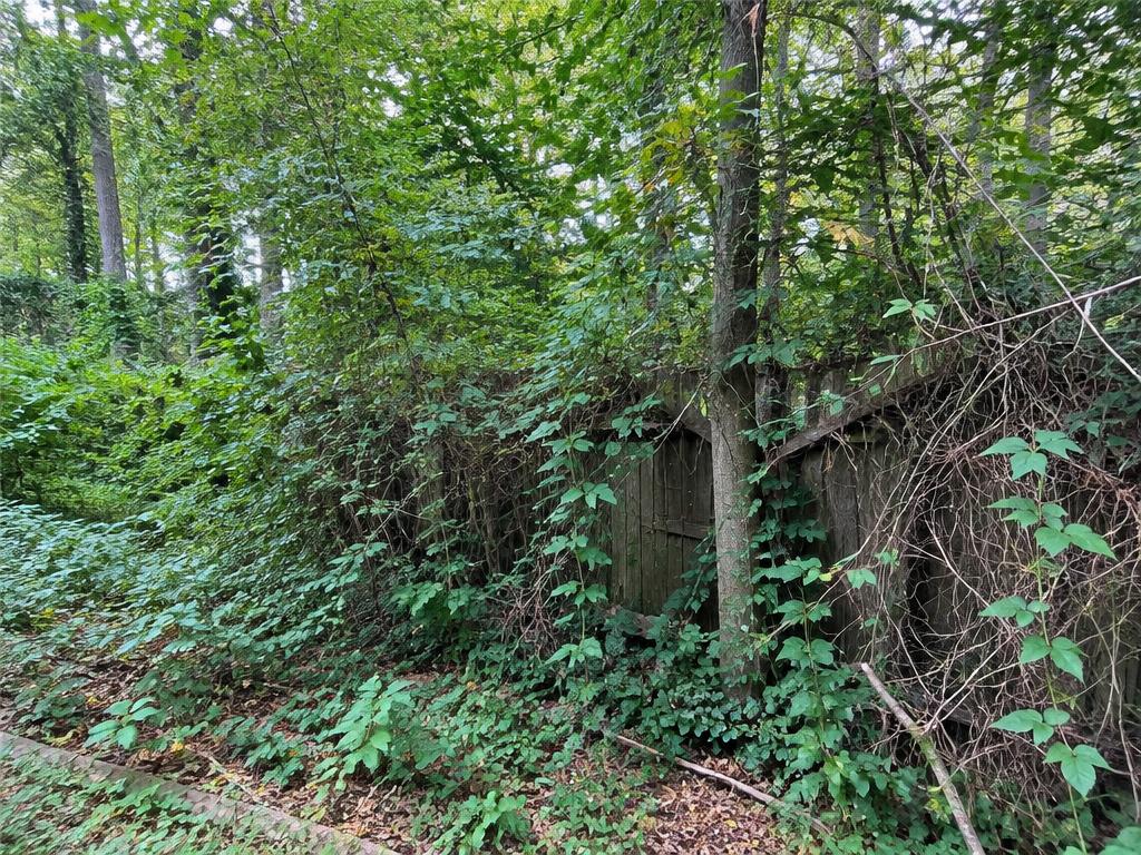 Brush & Lot Clearing before