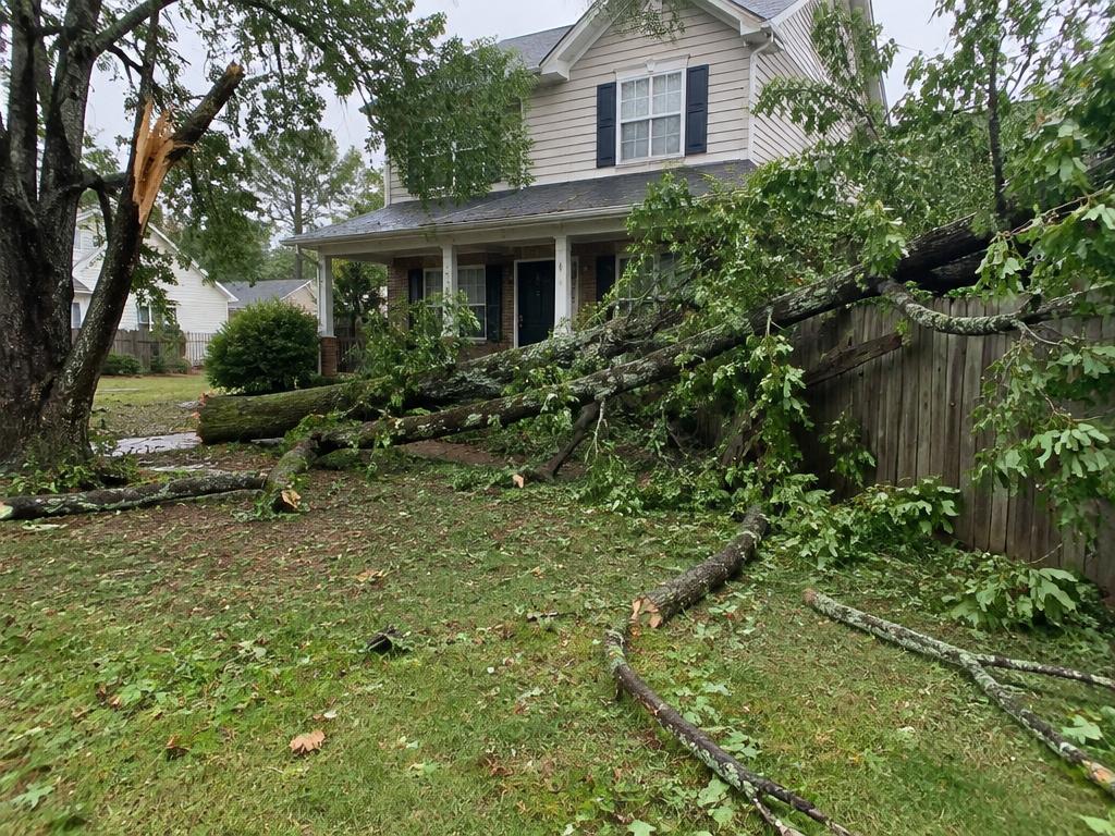 Storm Cleanup before